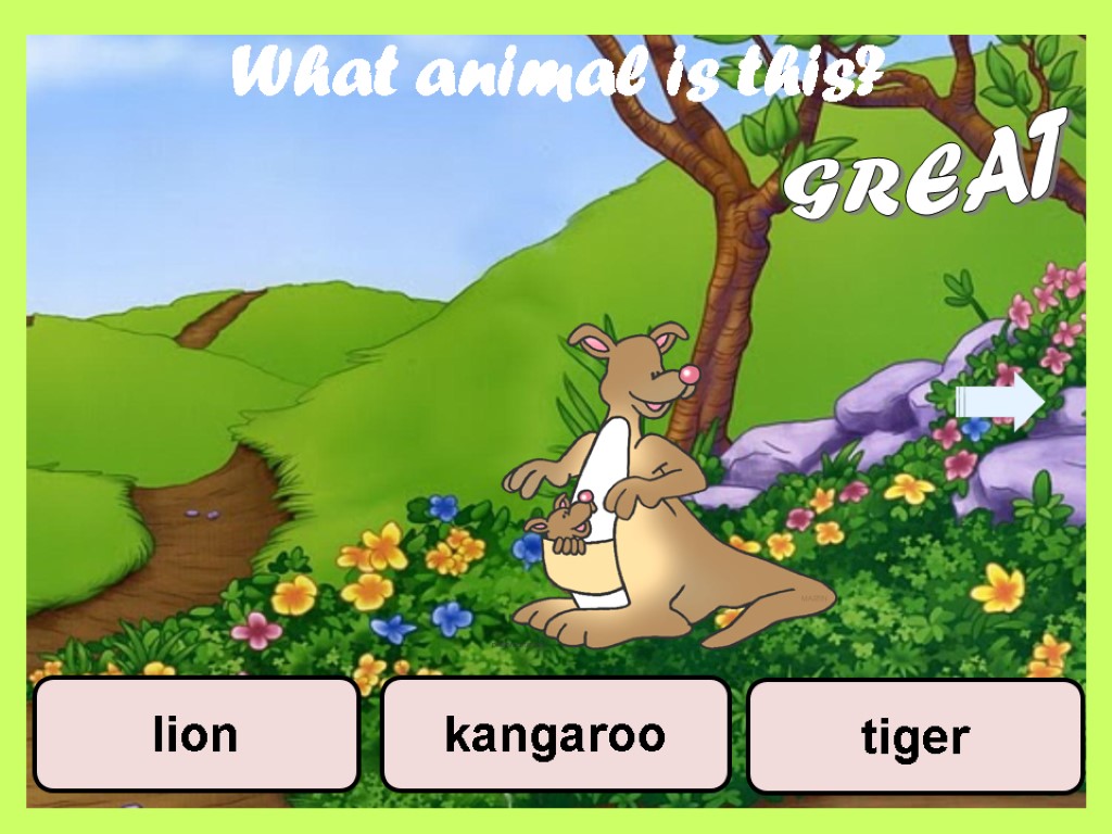 What animal is this? tiger kangaroo lion GREAT